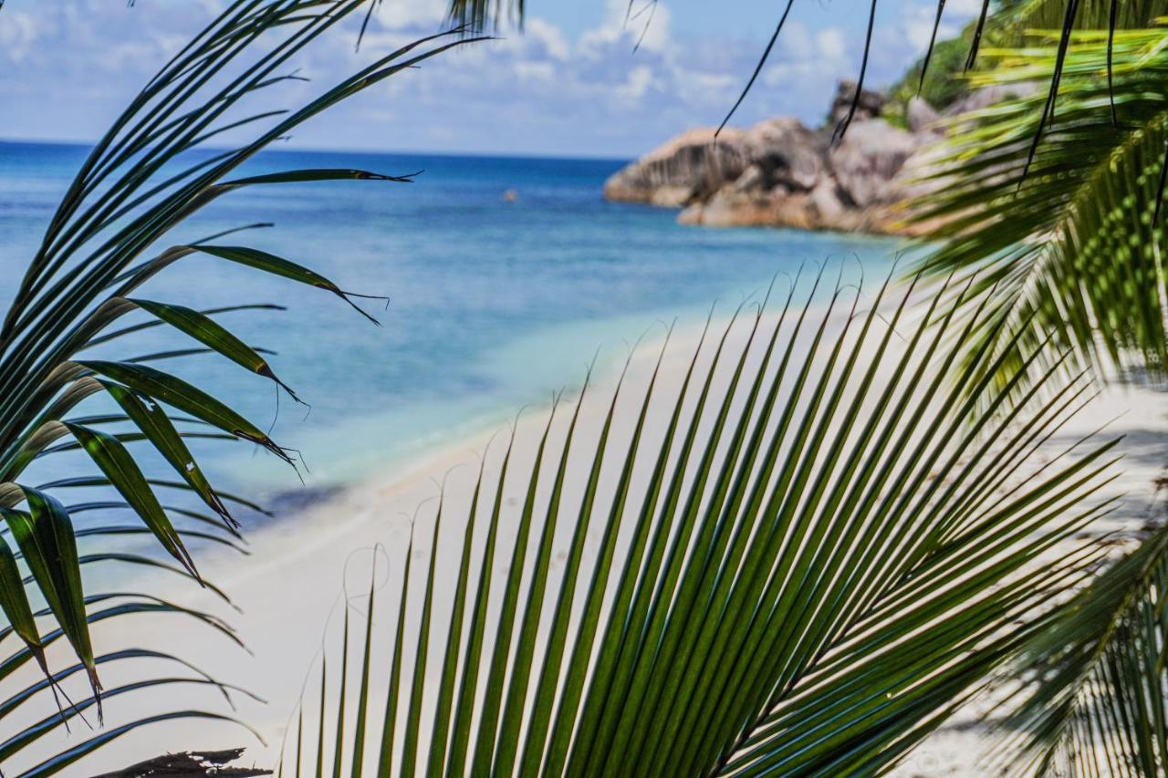 Anse Kerlan Beach Chalets Dış mekan fotoğraf